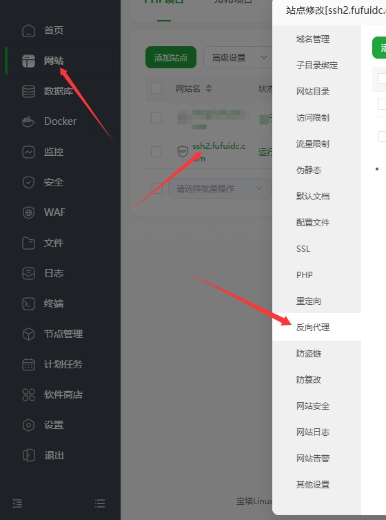 进入反向代理设置